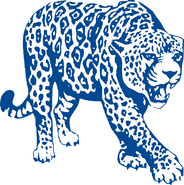 South Alabama Jaguars 1993-2007 Partial Logo v2 diy fabric transfers